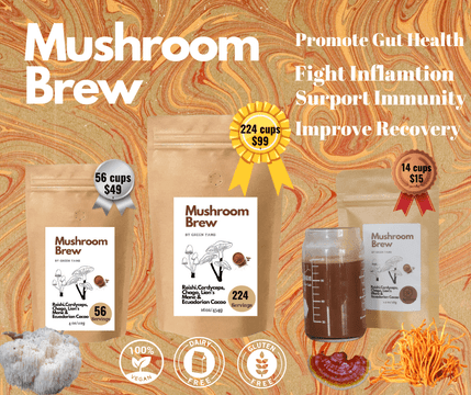 Mushroom Brew